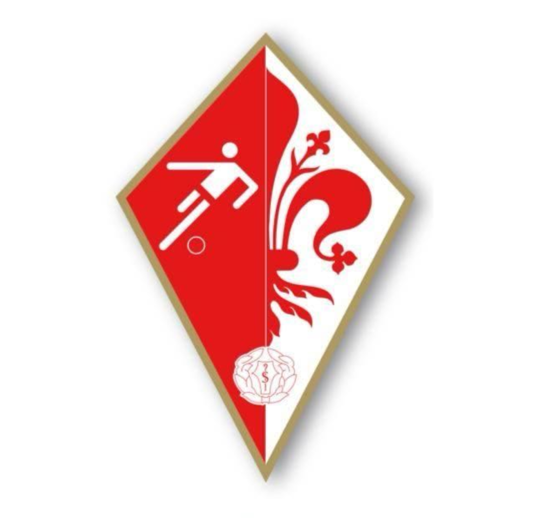 Logo Sansalvi